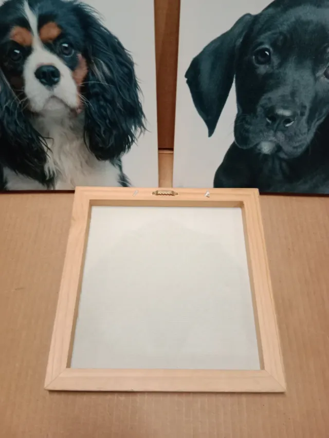 Lote 3 cuadros decorativos perritos