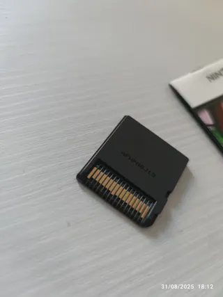 Flipper Critters Nintendo DS - Libretto Istruzioni