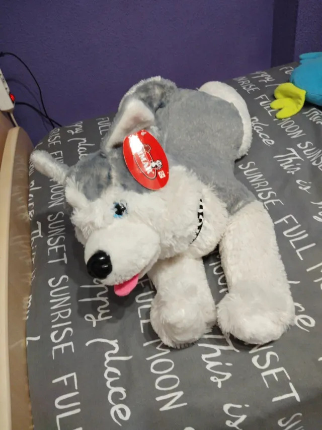 Peluche Perro Husky Amigo