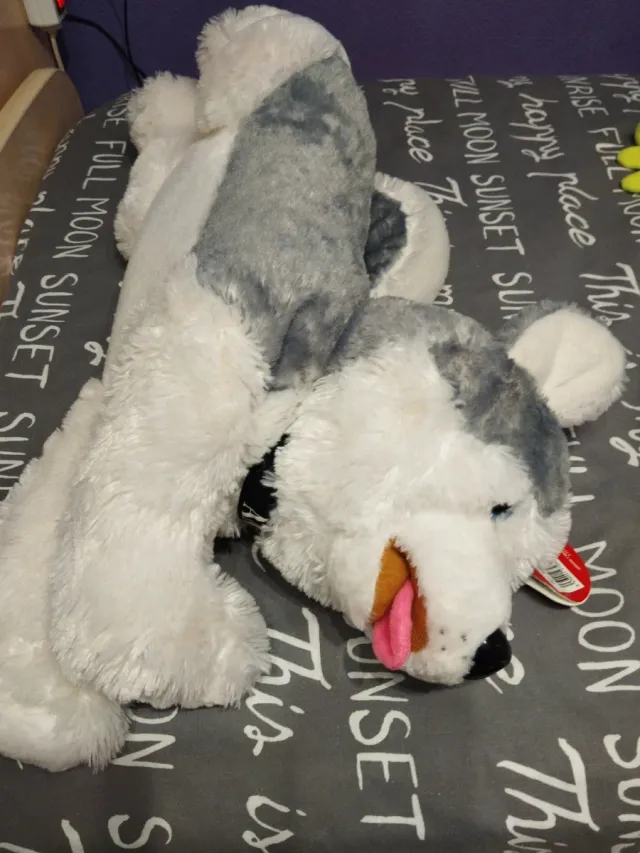Peluche Perro Husky Amigo