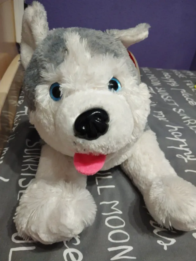 Peluche Perro Husky Amigo