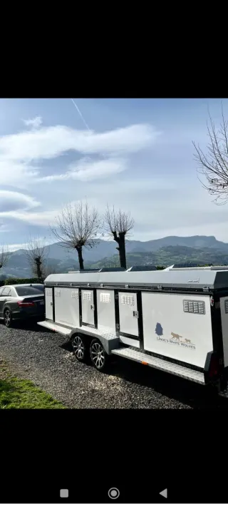 Remolque para perros