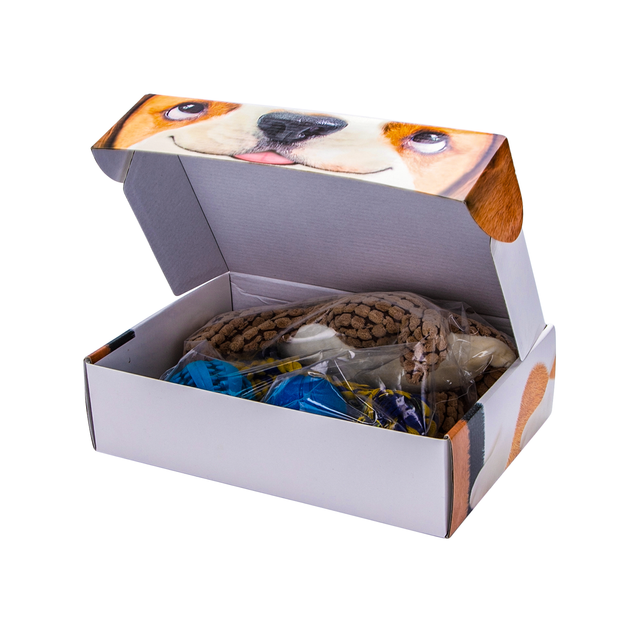 Juguetes para Perros: Dinosaurio y Cuerdas