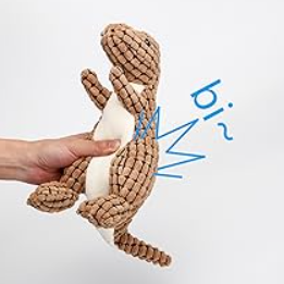 Juguetes para Perros: Dinosaurio y Cuerdas