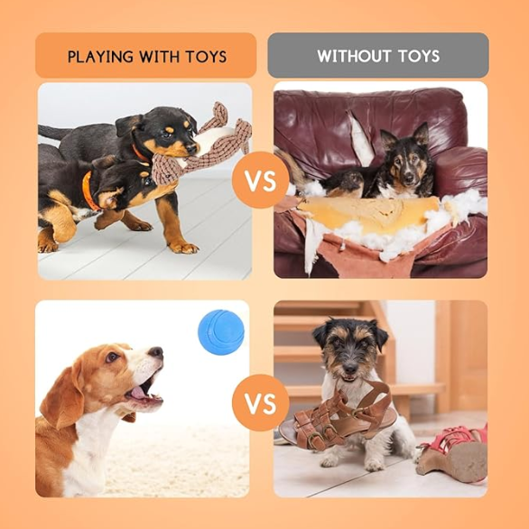 Juguetes para Perros: Dinosaurio y Cuerdas