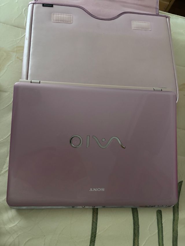 Portátil Sony Vaio Rosa y Plateado