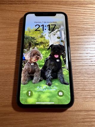 iPhone 11 64GB Nero