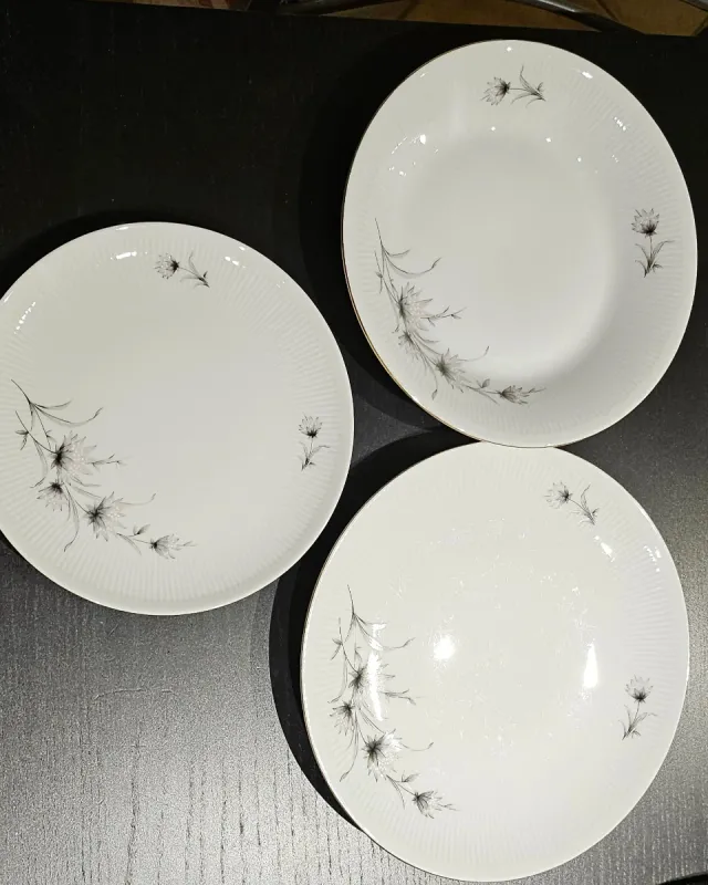 Winterling Roslau Bavaria Porcellana Piatti