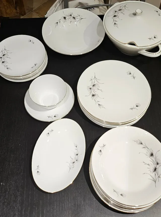 Winterling Roslau Bavaria Porcellana Piatti