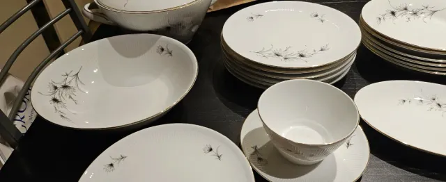 Winterling Roslau Bavaria Porcellana Piatti