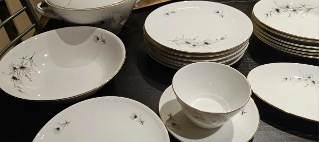 Winterling Roslau Bavaria Porcellana Piatti