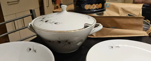 Winterling Roslau Bavaria Porcellana Piatti