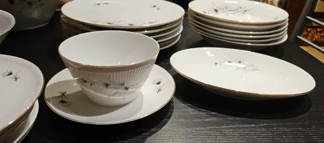 Winterling Roslau Bavaria Porcellana Piatti