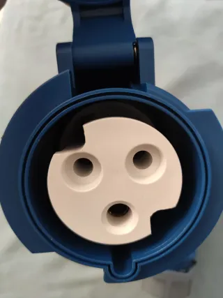 Macho y hembra Cetac