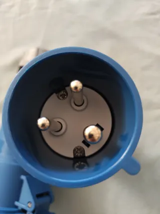 Macho y hembra Cetac