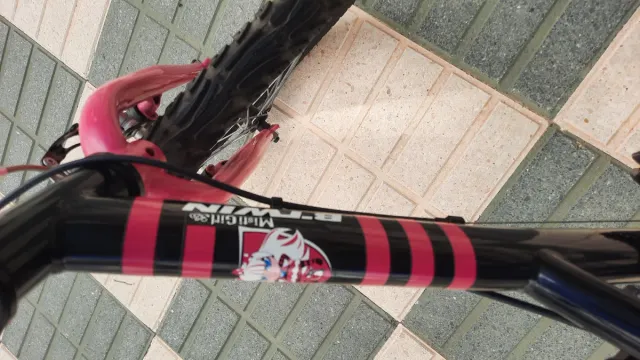 Bicicleta niña 20 pulgadas. Decathlon