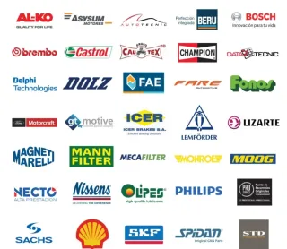 Mecánico a domicilio de automóvil