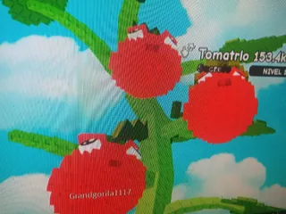 Tomatrio