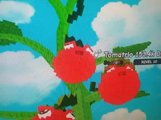 Tomatrio