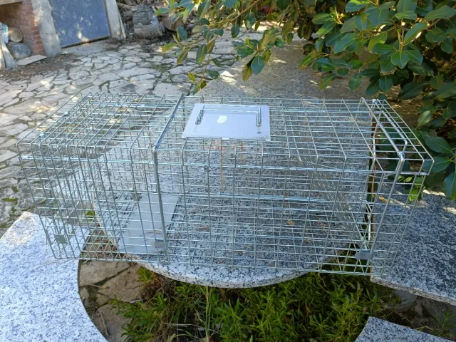 Jaula metálica para animales