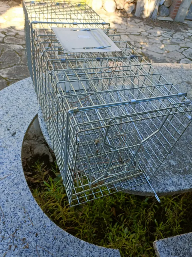 Jaula metálica para animales