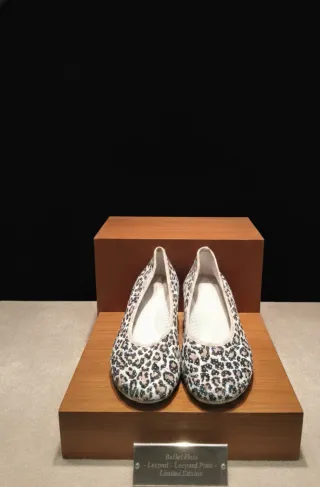 Bailarinas Mujer Talla 41 LEOPARDO ESPAÑA