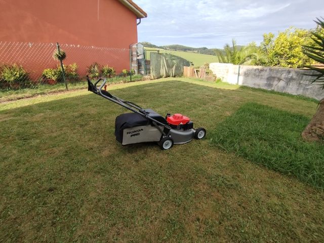 Cortacésped Honda HRH 536