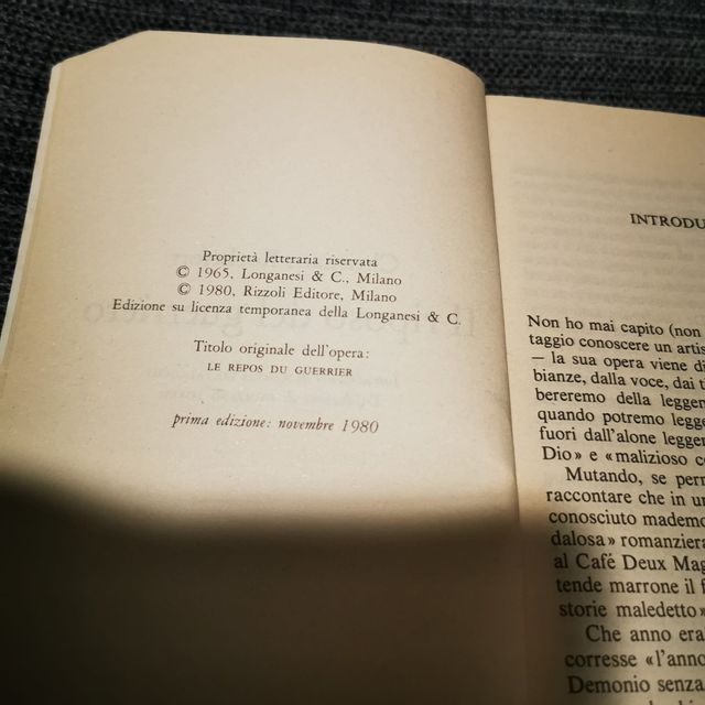 Il riposo del guerriero