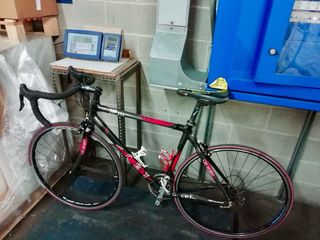 Bici da corsa CBT in carbonio, taglia M