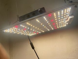 Lampada LED per acquario