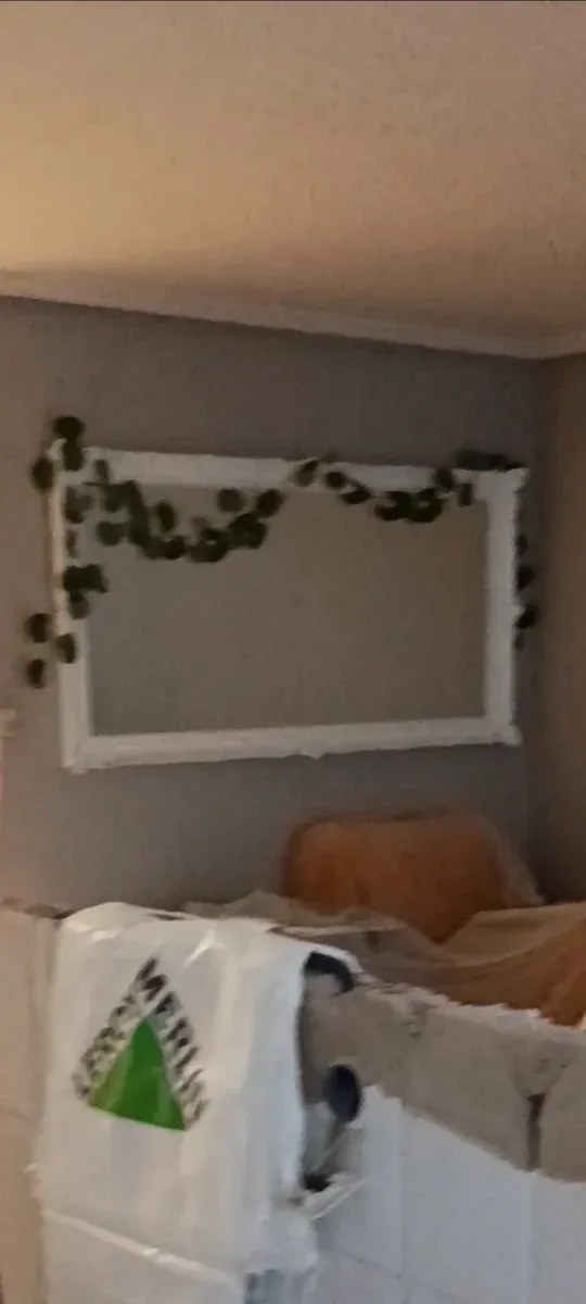 Espejo de salón decorado