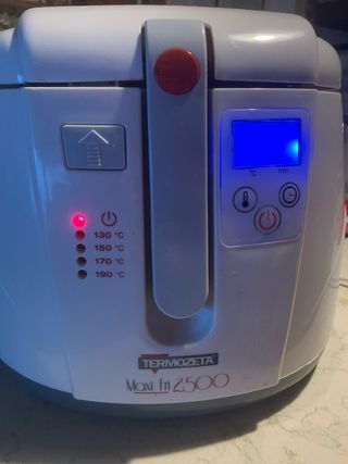 Friggitrice Termozeta Maxi Fri 2500