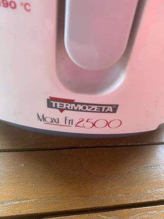 Friggitrice Termozeta Maxi Fri 2500