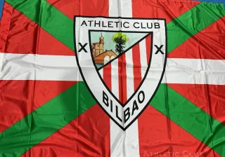 Técnico informático.