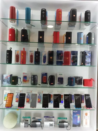 Técnico informático.