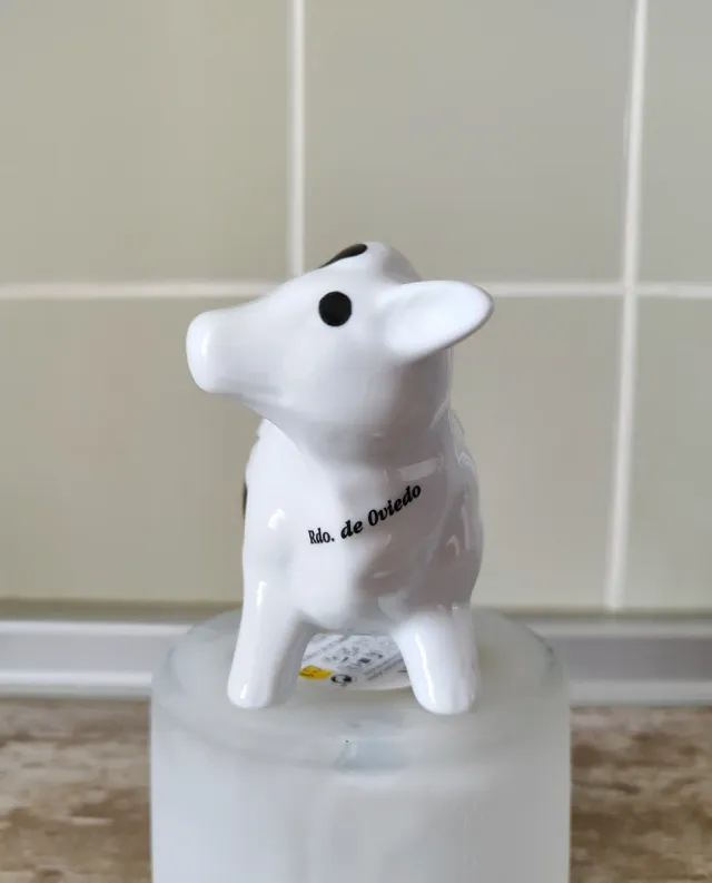 Conjunto de cozinha rústico