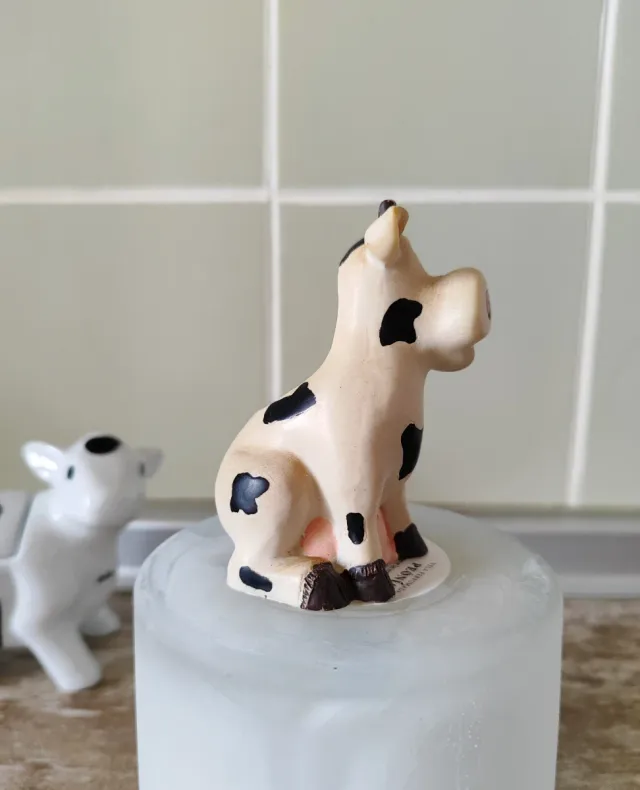 Conjunto de cozinha rústico