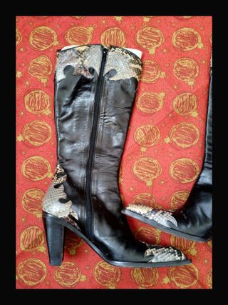 Stivali al ginocchio in pelle pitonata williams