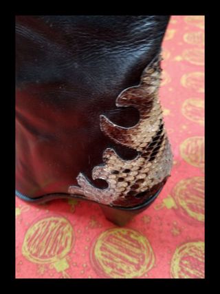 Stivali al ginocchio in pelle pitonata williams