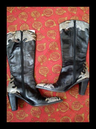 Stivali al ginocchio in pelle pitonata williams