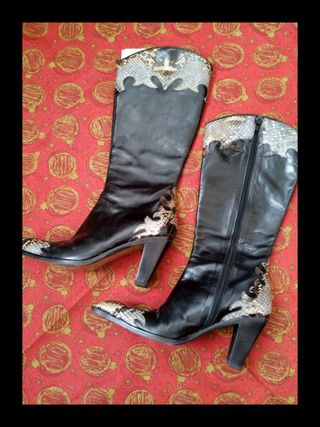 Stivali al ginocchio in pelle pitonata williams