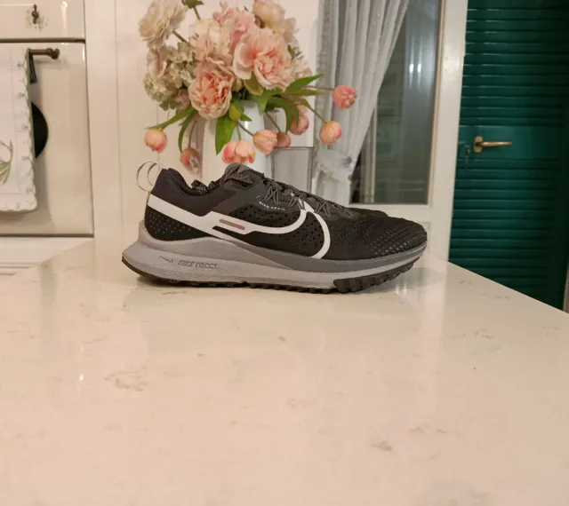 Nike Pegasus Trail 4 Grigie e Bianche