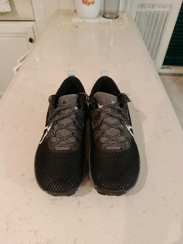 Nike Pegasus Trail 4 Grigie e Bianche