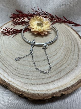 Cadena Seguridad Cola de Delfín