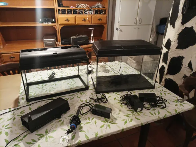 2 Peceras de cristal y plástico