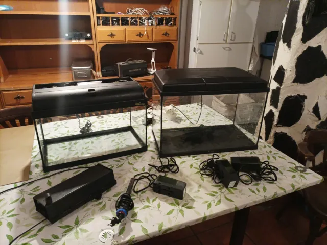 2 Peceras de cristal y plástico