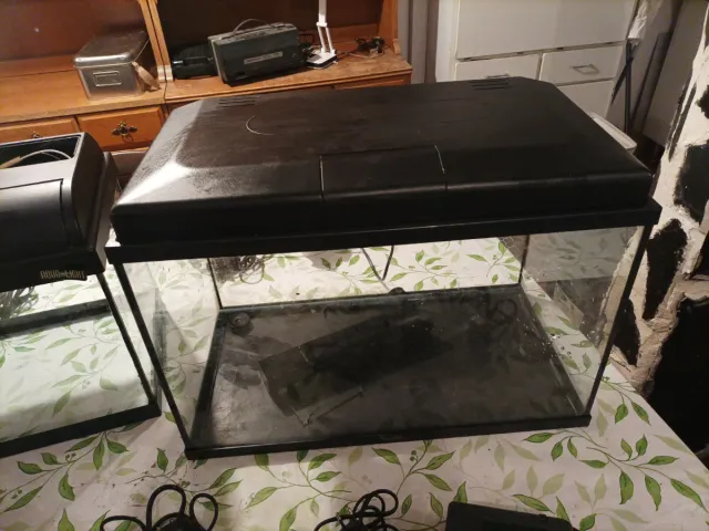 2 Peceras de cristal y plástico