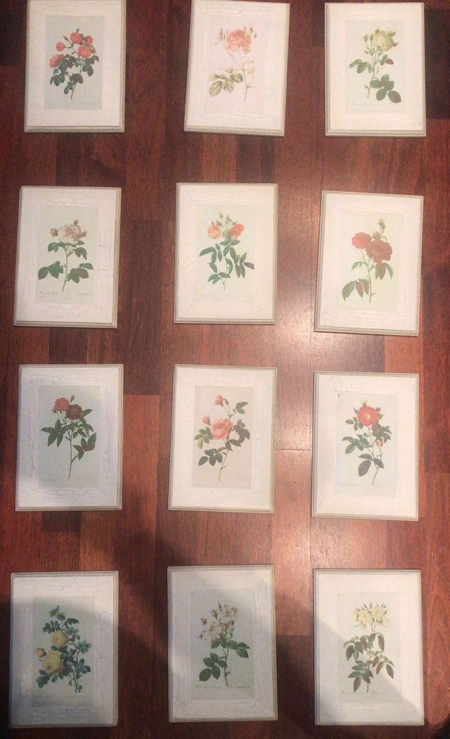 Stampe botaniche su legno - Rose