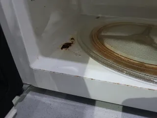 Microondas Cecotec Blanco