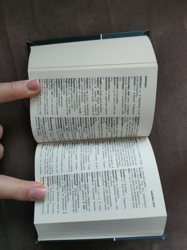 Dizionario tedesco-italiano / italiano-tedesco